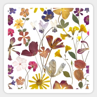 Pressed summer flowers seamless. Dry flowers composition. Romantic Spring blossom. Vibrant botanical print Sticker